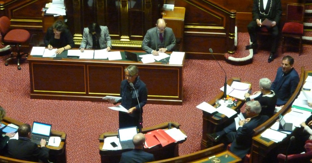 Elisabeth Borne devant le Sénat en mars 2019