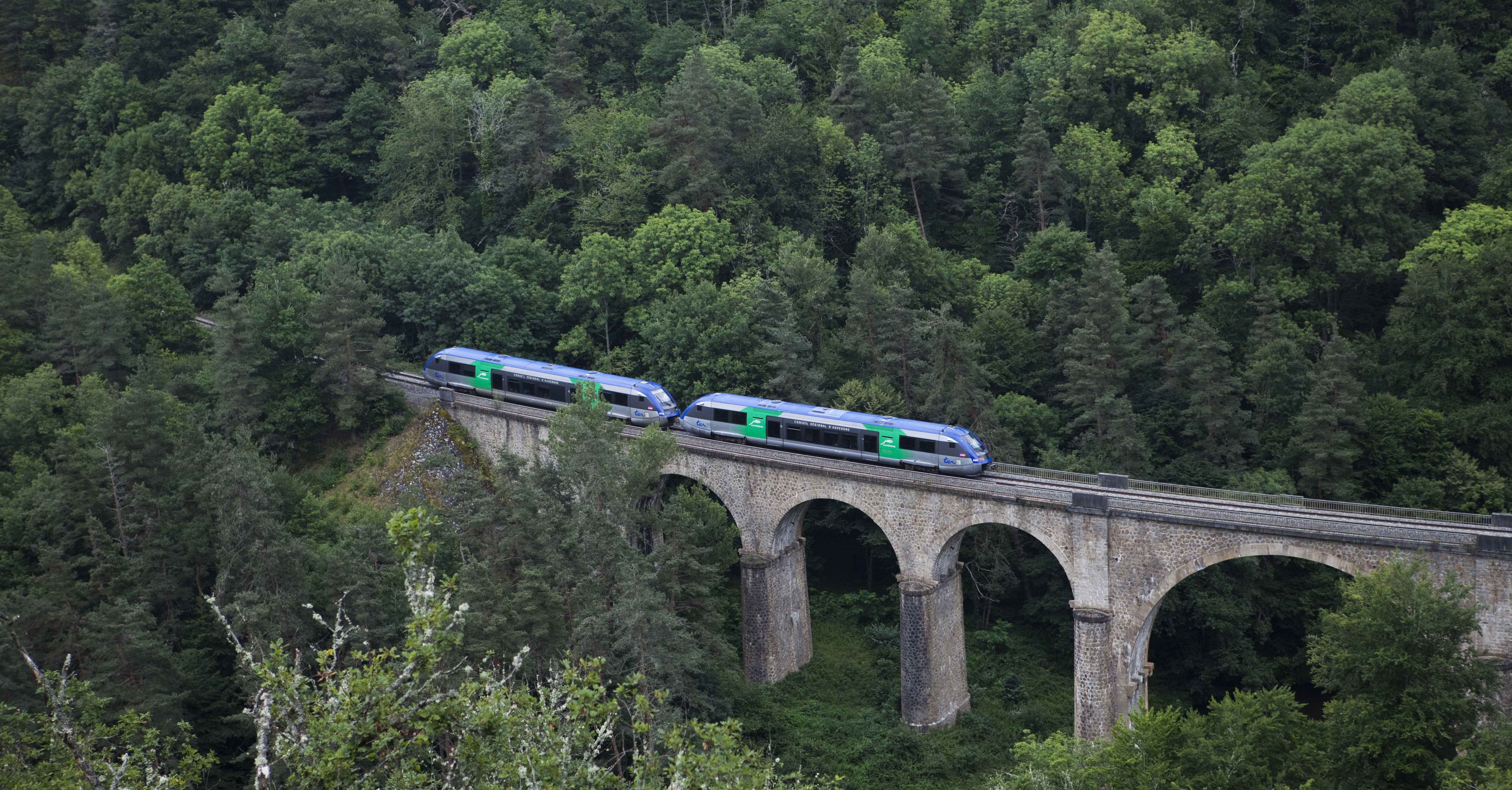 Circulation d'un TER vers Monistrol-d'Allier