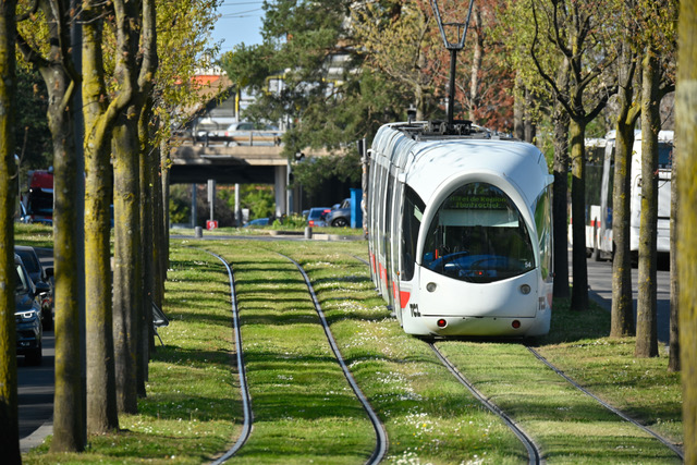 Tramway à Lyon