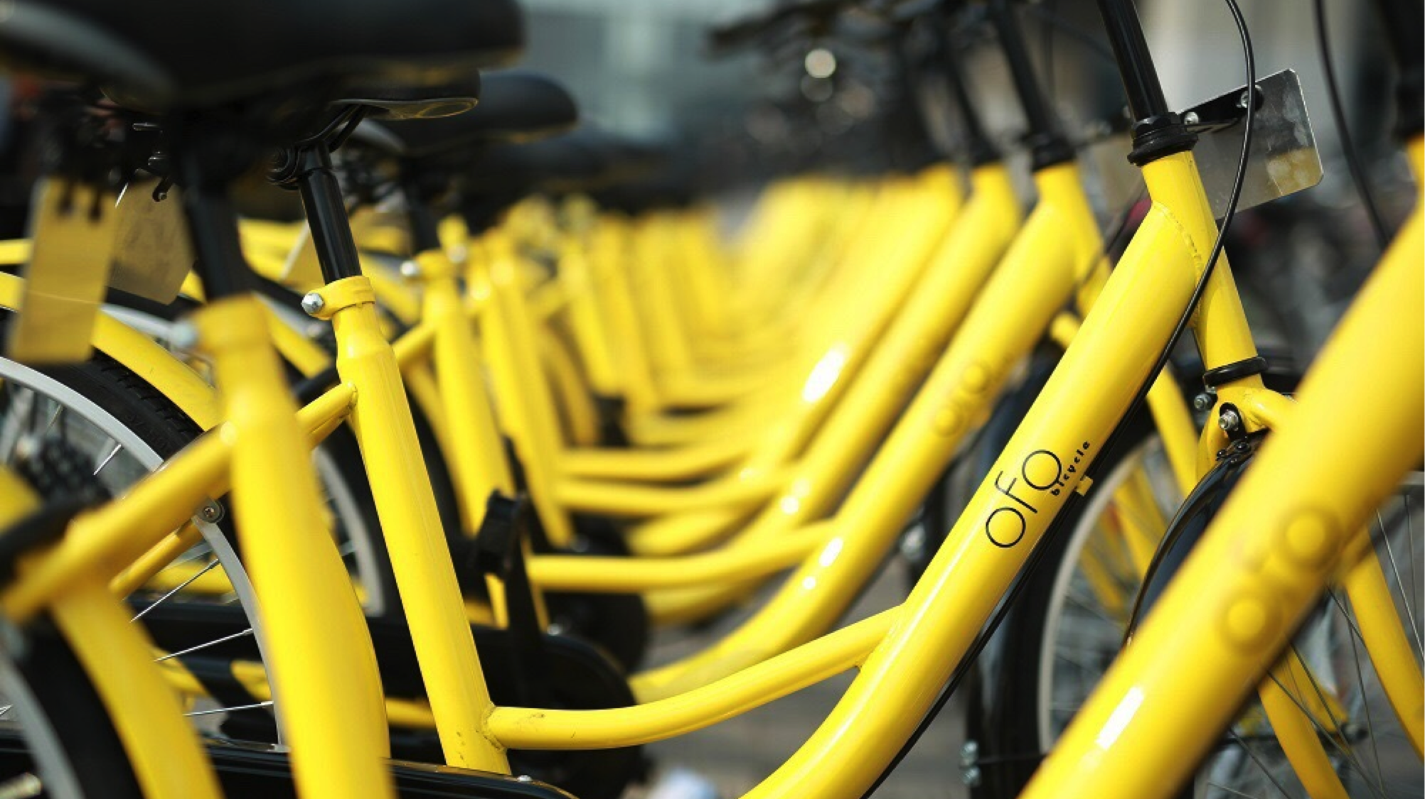 La start-up chinoise Ofo prépare son arrivée en France