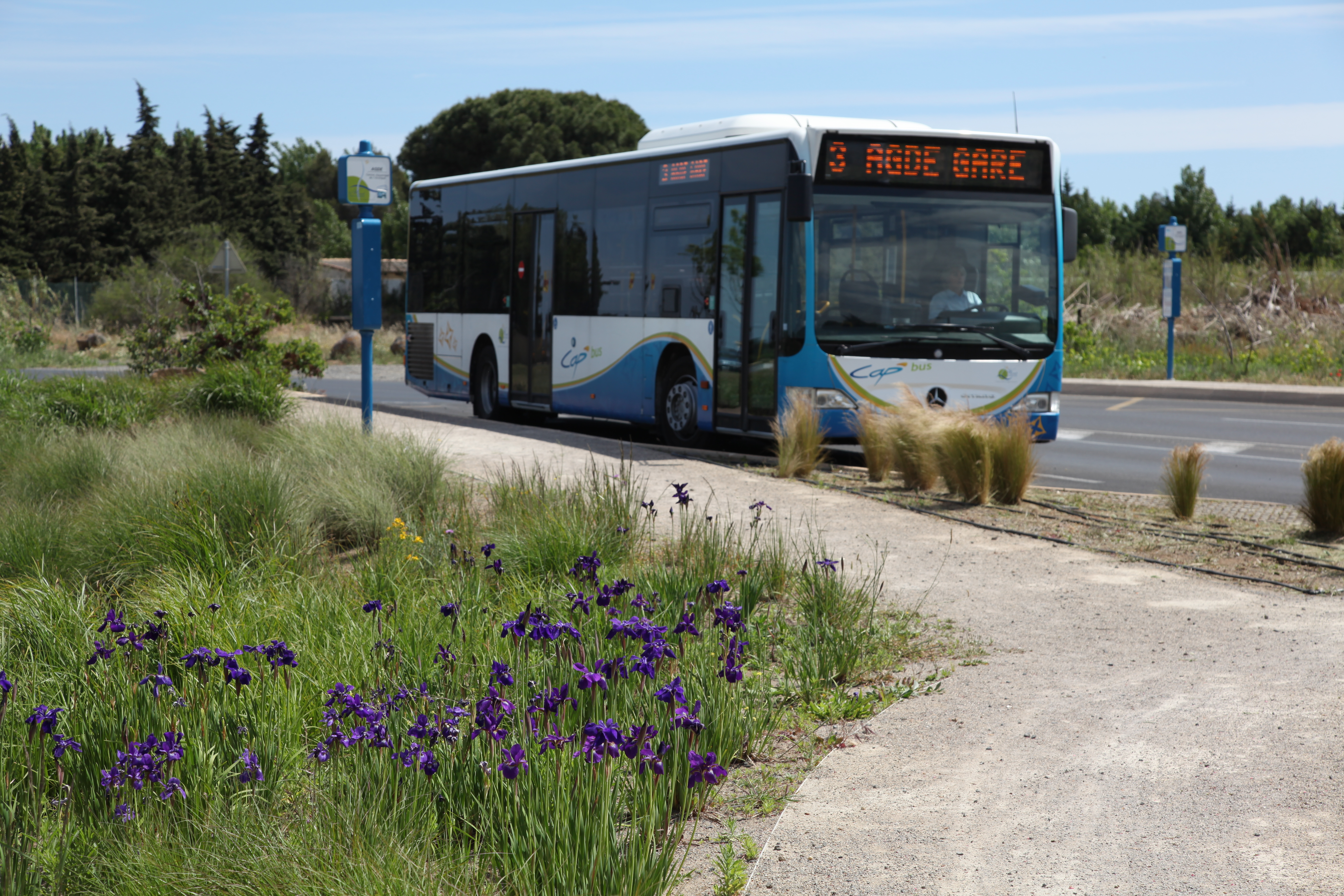 CarPostal renouvelé à Agde