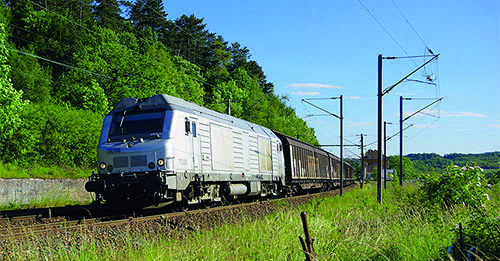 « Malgré une situation tendue, tous les opérateurs de proximité ont survécu »