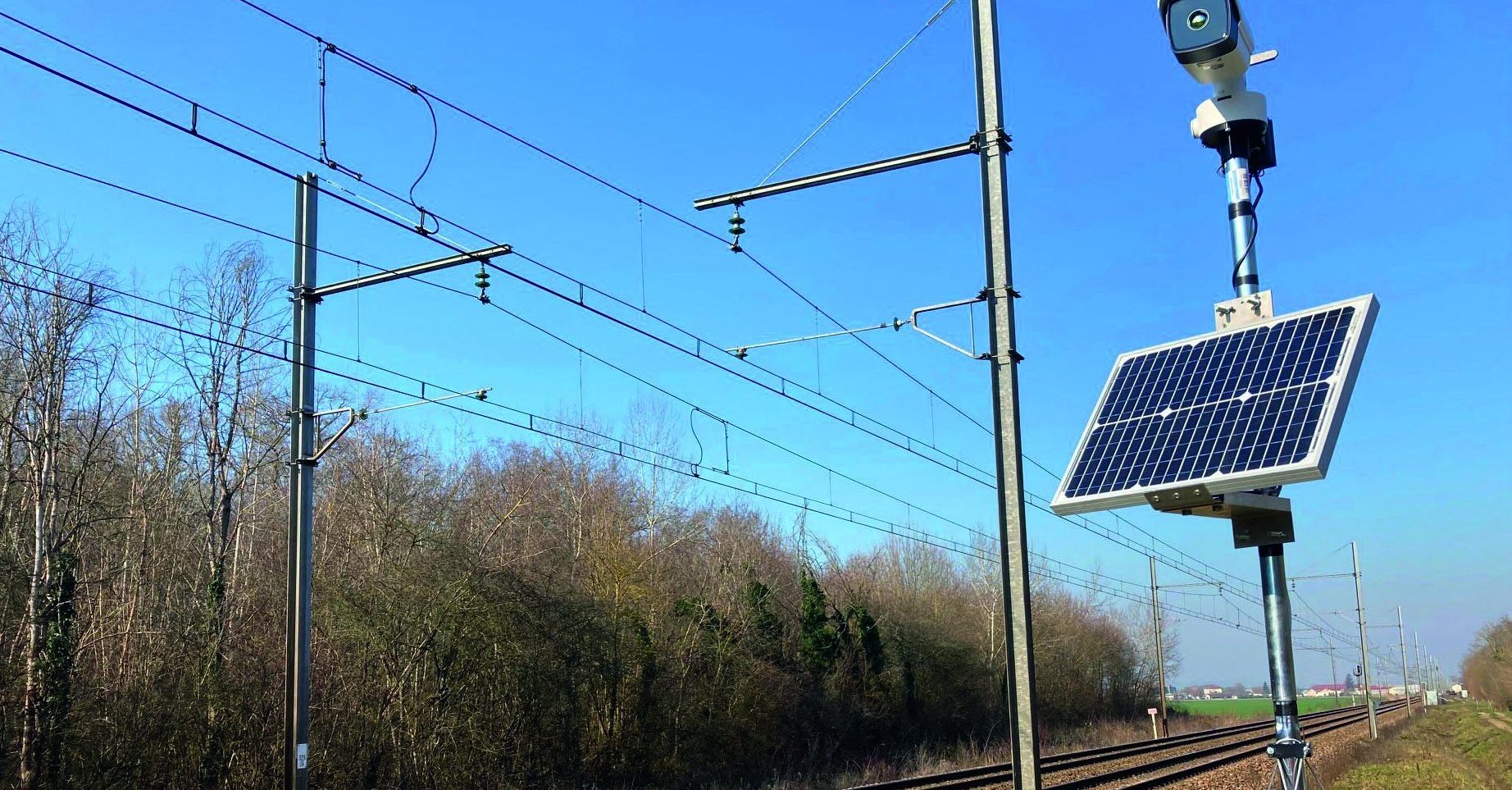 dispositif anti-collision animaux