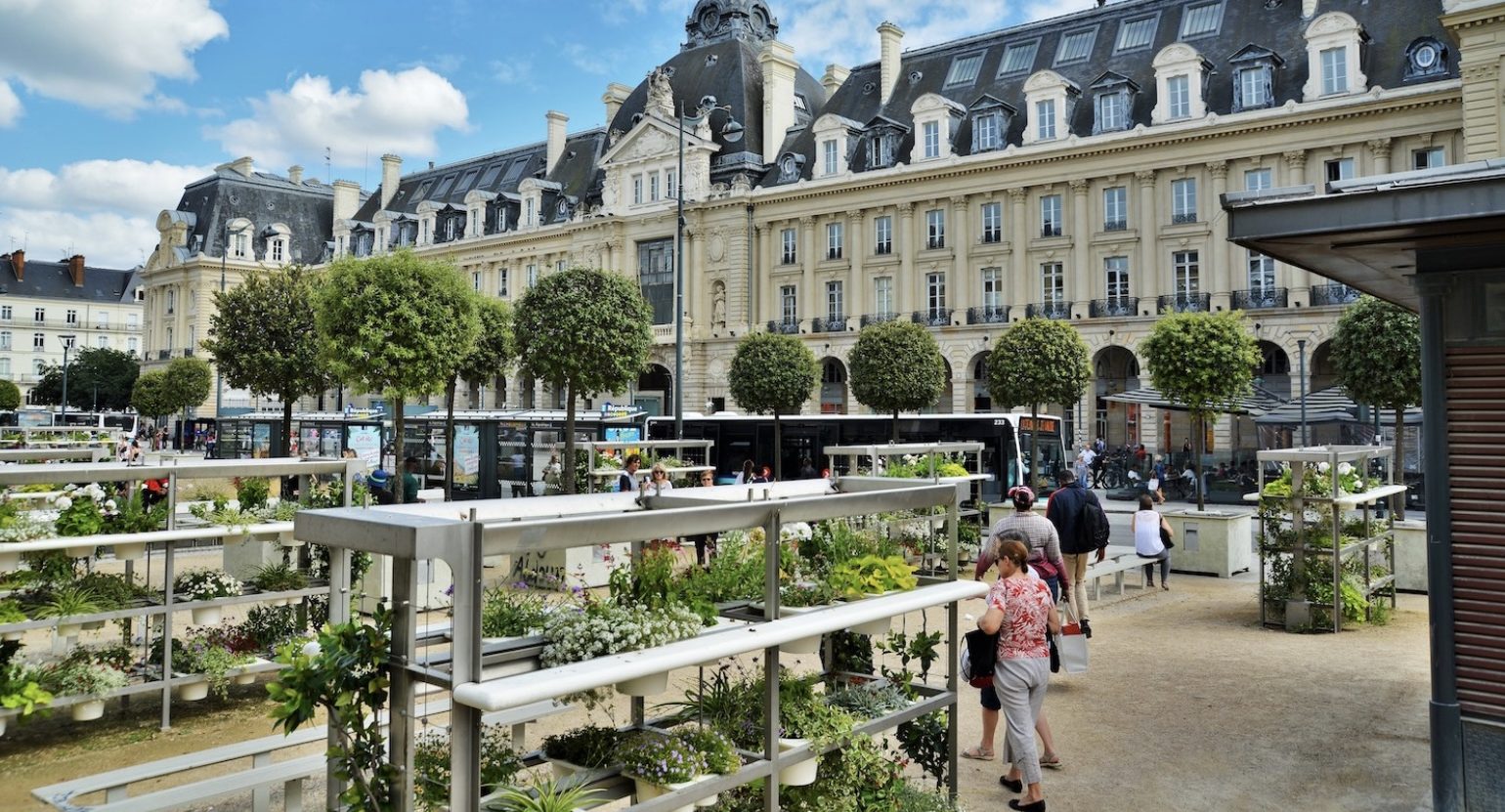 Rennes remporte la palme des grandes villes marchables