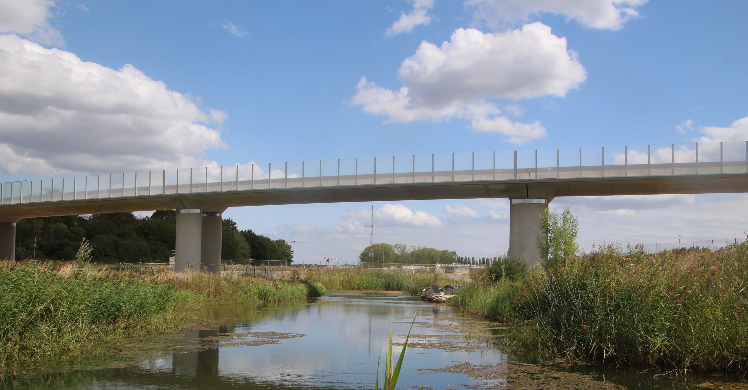 Lancement d&rsquo;Actierra, la filiale dédiée aux questions environnementales d&rsquo;Ingerop