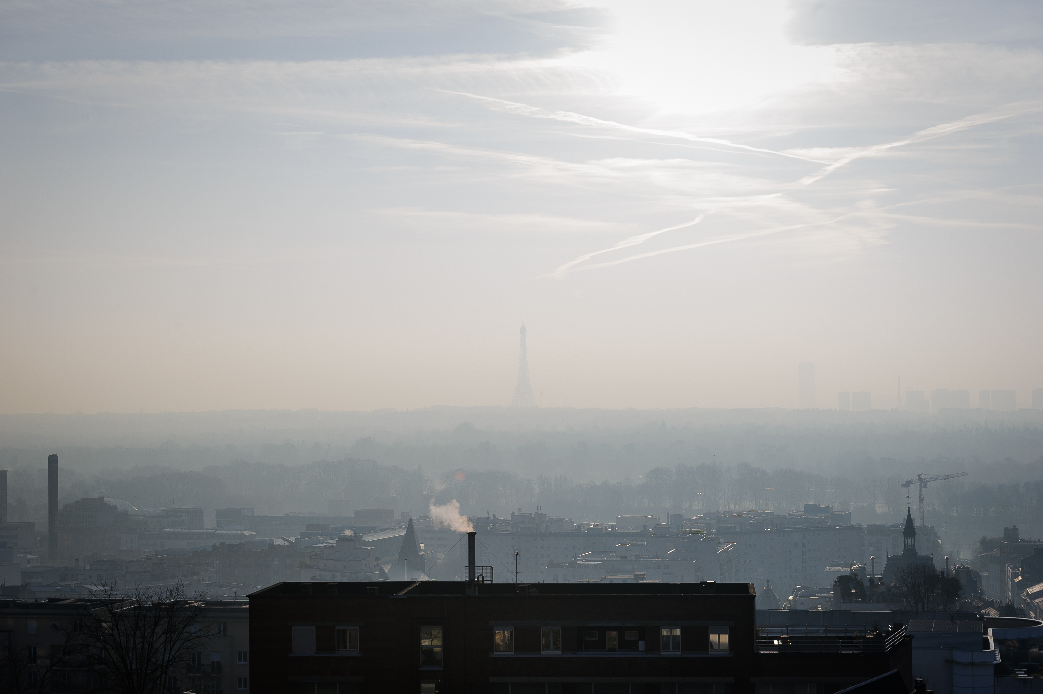 Pollution à Paris. Plus de gratuité en cas de pic ?